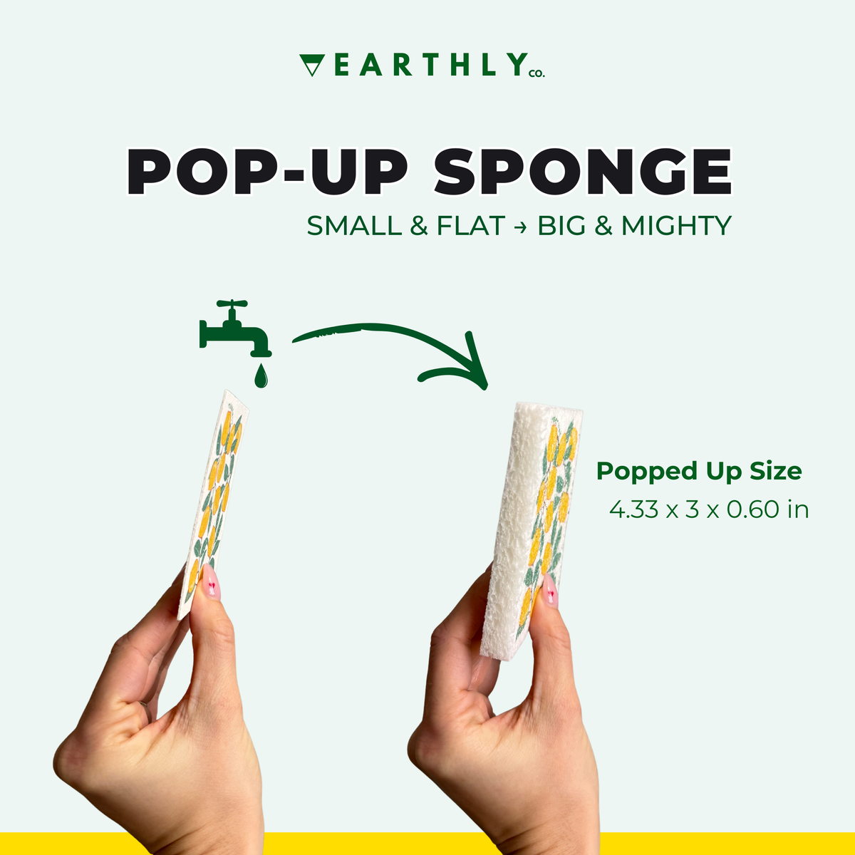 Amalfi Lemons Pop Up Sponges