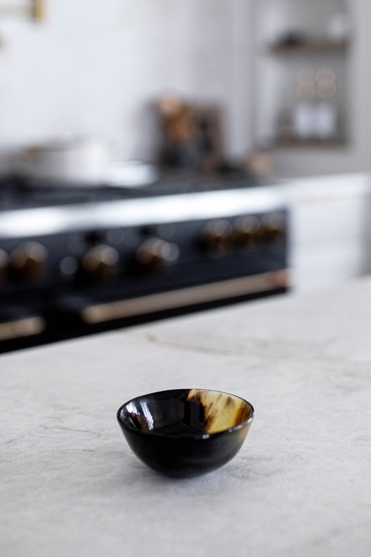 Horn & Bone Dish