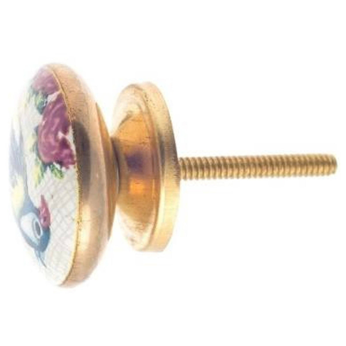 Parrot Ceramic Knob