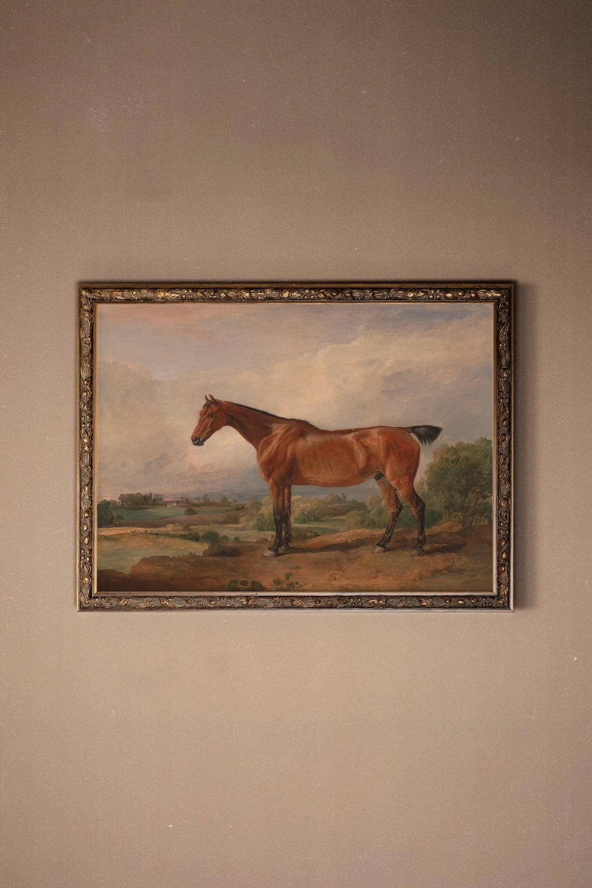 MAJESTÉ ÉQUESTRE: canvas art print