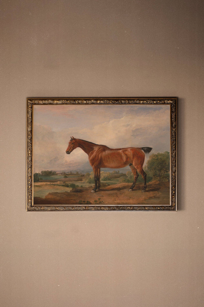 MAJESTÉ ÉQUESTRE: canvas art print