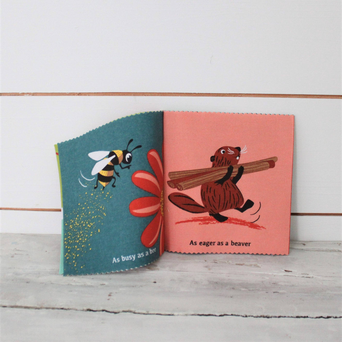 Brave as a Bear Rag Book