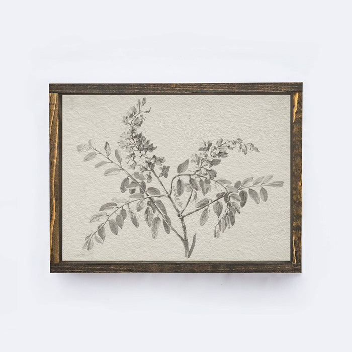 Vintage Print Framed | Botanical Watercolour