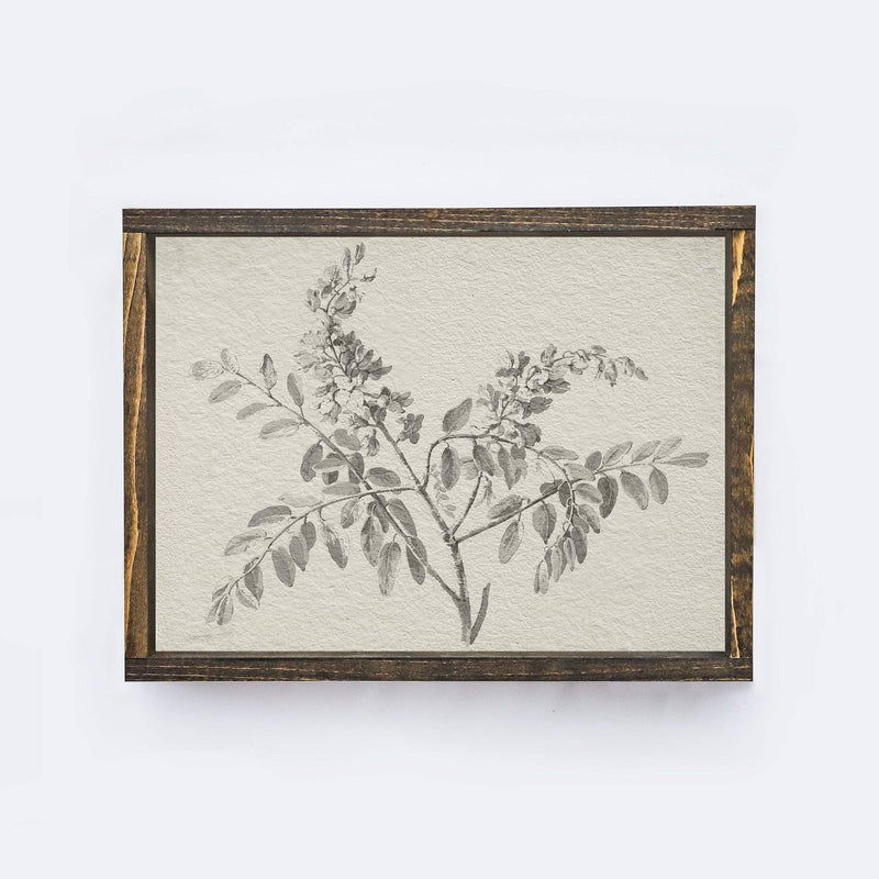 Vintage Print Framed | Botanical Watercolour