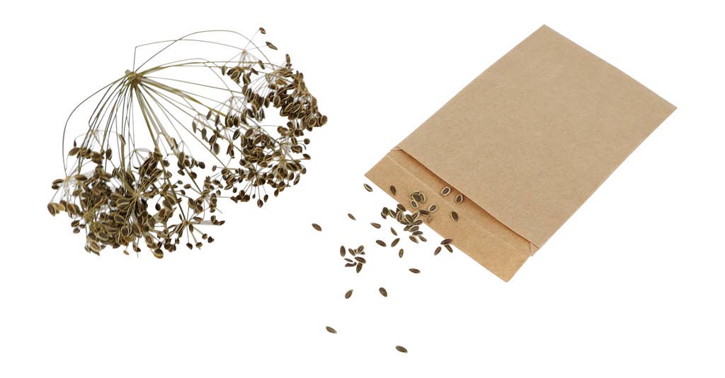 REDECKER Seed Bags