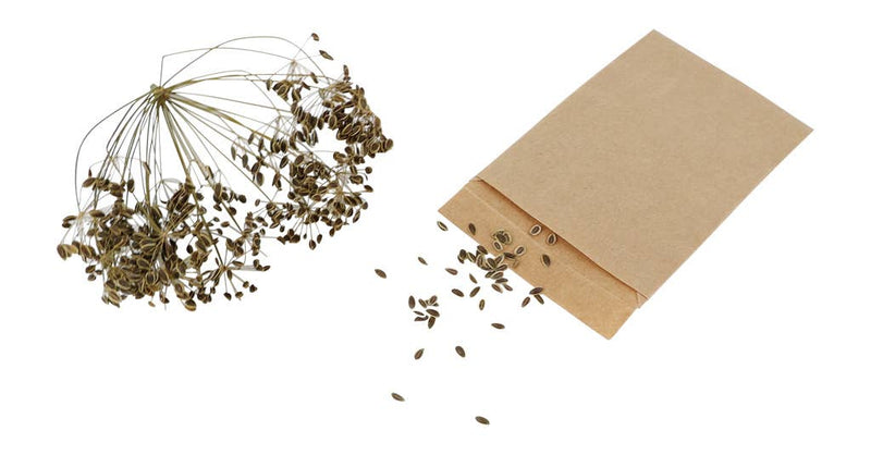 REDECKER Seed Bags