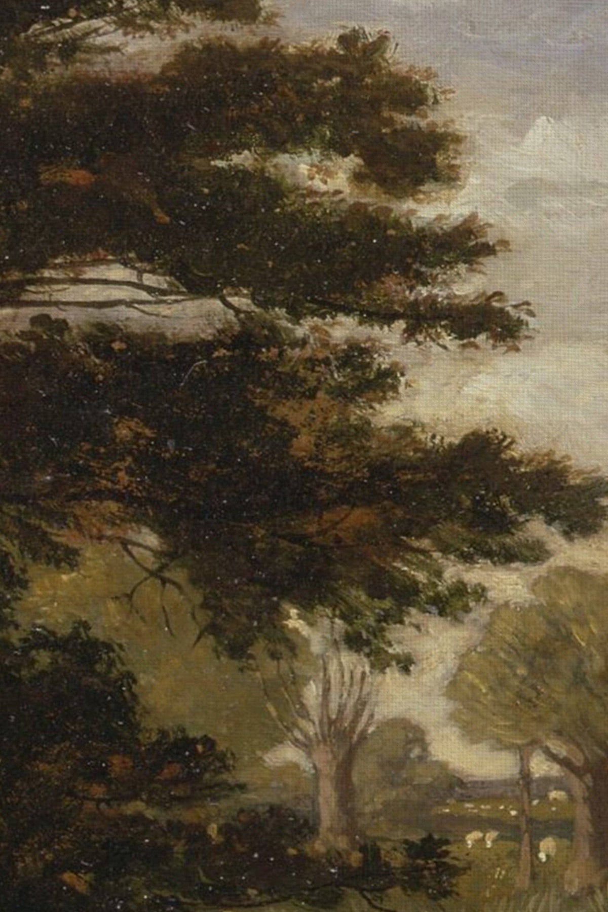 SOUS L'ARBRE ANCIEN: canvas art print