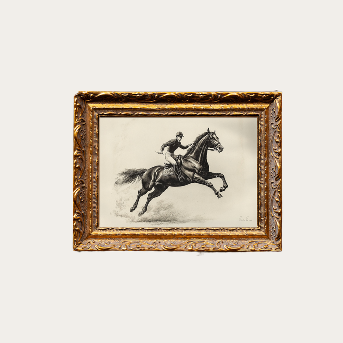 Cavalier Horse Sketch