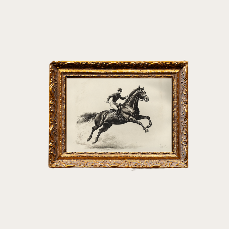 Cavalier Horse Sketch