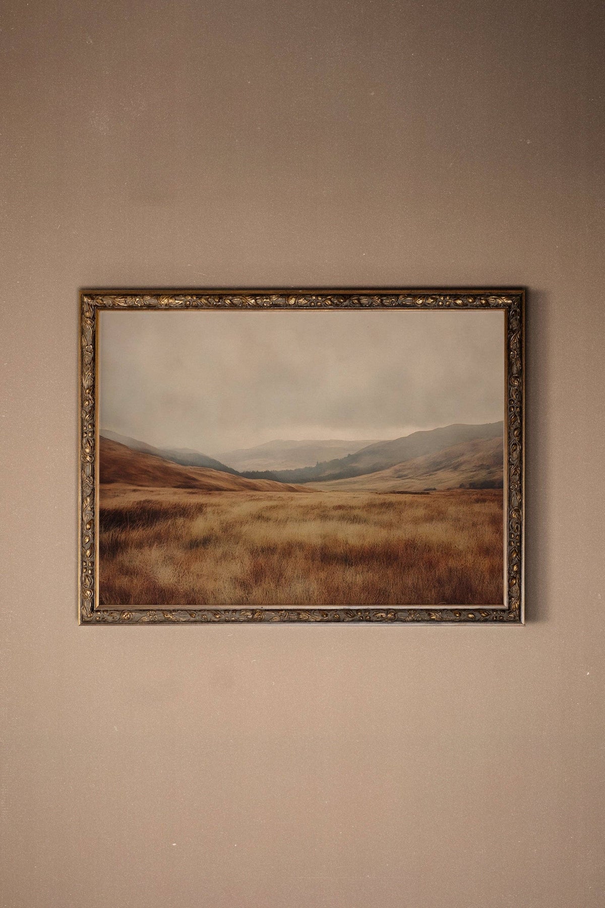 RÊVE DE TERRE: canvas  art print