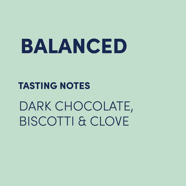 Elevate Coffee Blend