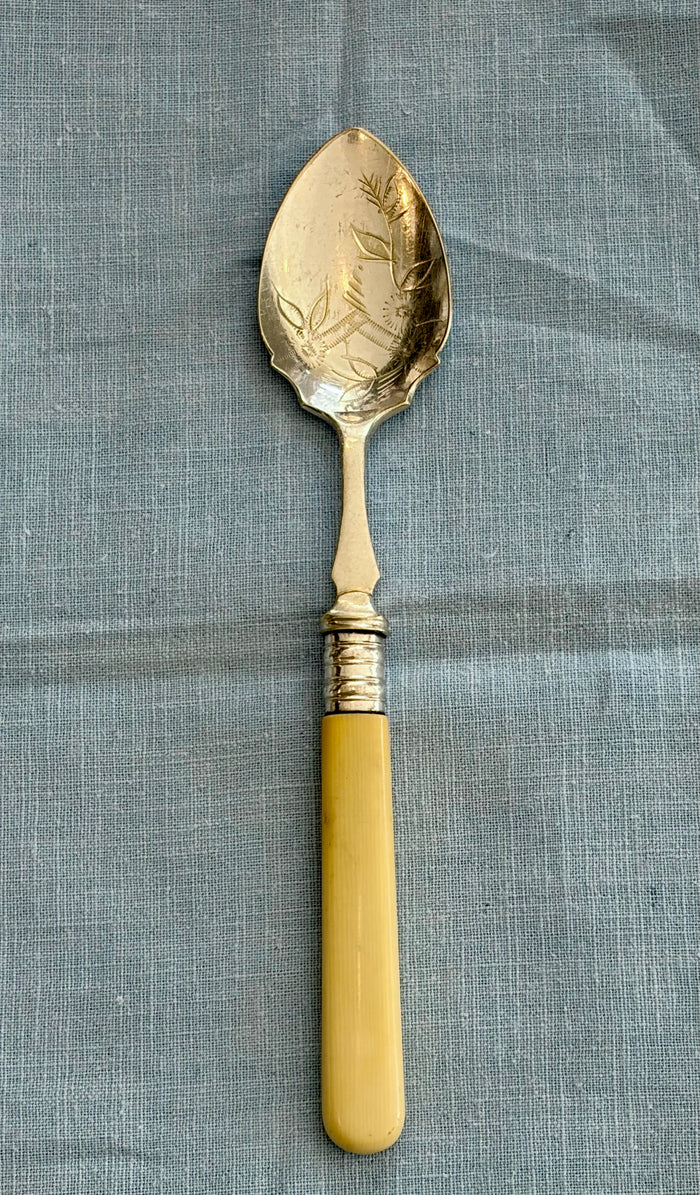 Heirloom Botanical Engraved Spoon