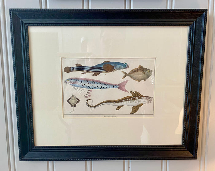 Heirloom 5 Fish Lithograph