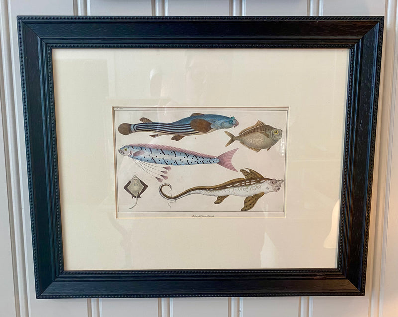 Heirloom 5 Fish Lithograph