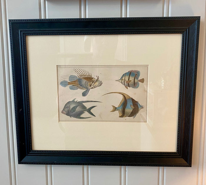 Heirloom Tropical Fish Lithograph