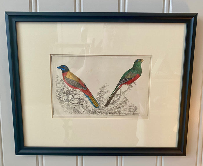 Heirloom Small Birds Lithograph