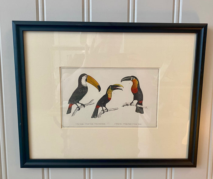 Heirloom Toucan Lithograph