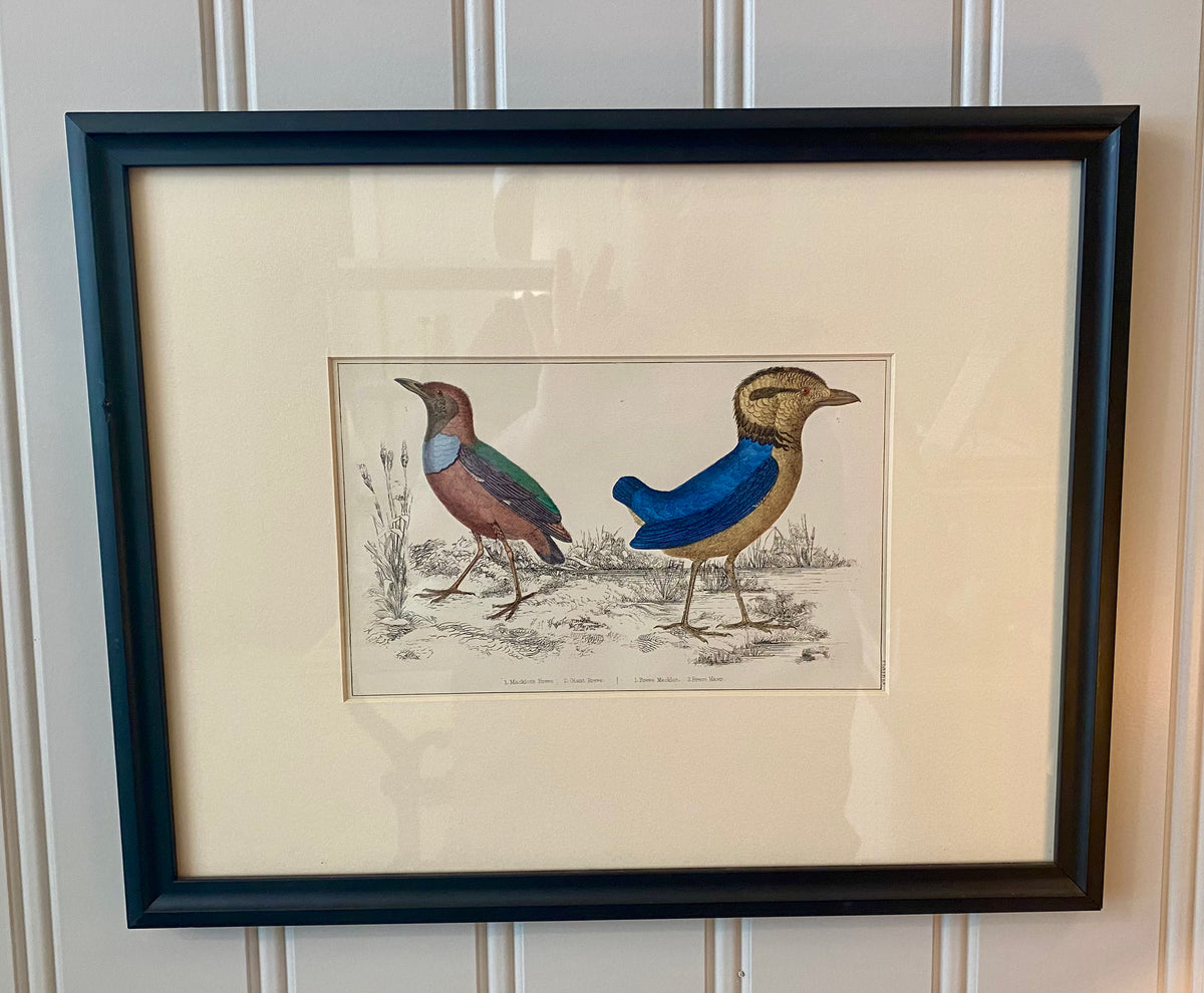 Heirloom Breves Lithograph