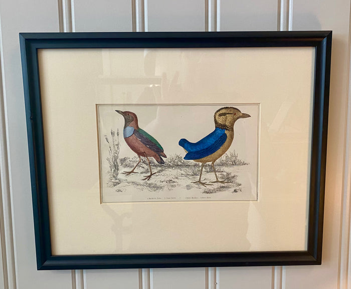 Heirloom Breves Lithograph