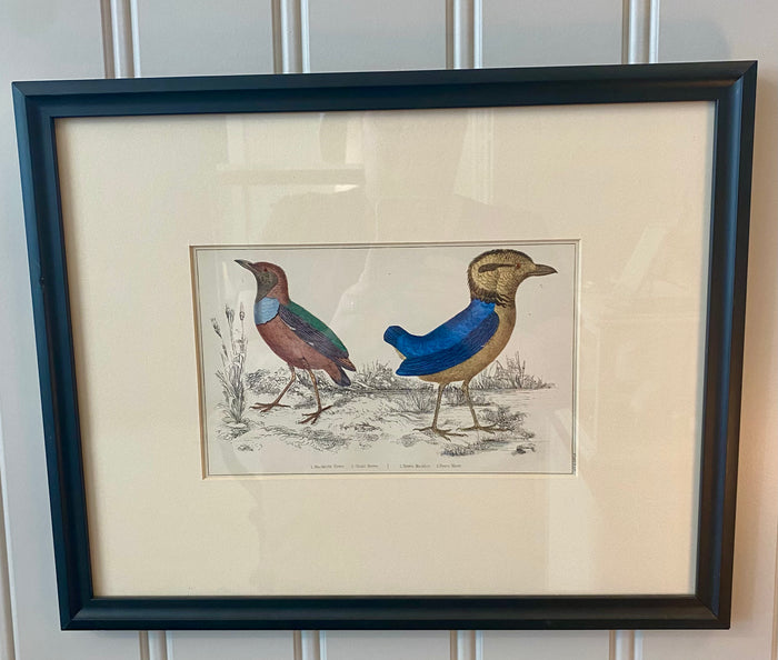 Heirloom Breves Lithograph