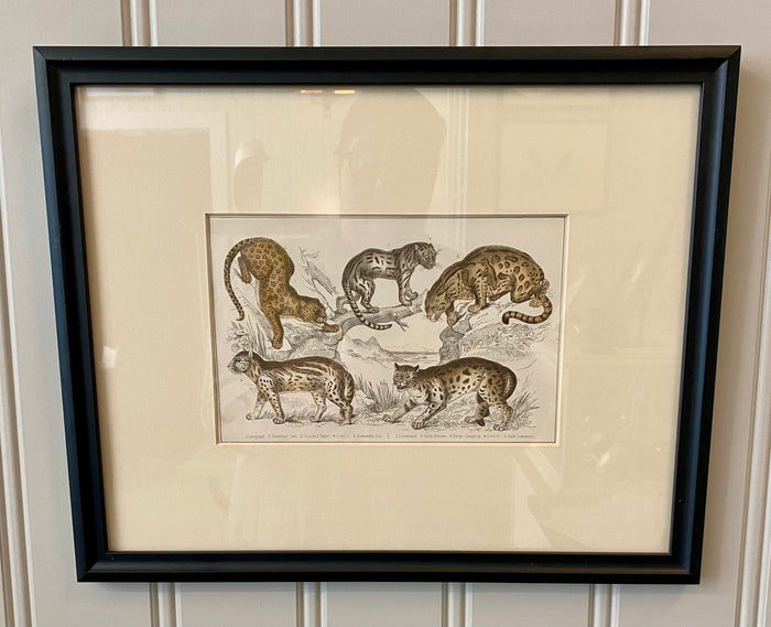 Heirloom Leopard Lithograph
