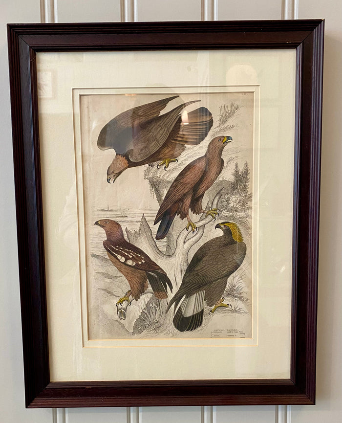 Heirloom Eagles Lithograph