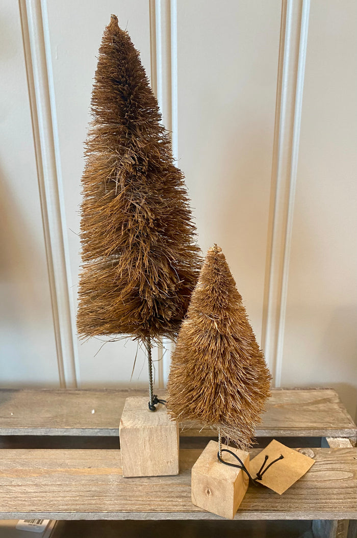 Dark Brown Bottle Brush Tree - Tall