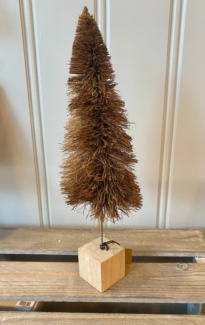 Dark Brown Bottle Brush Tree - Tall