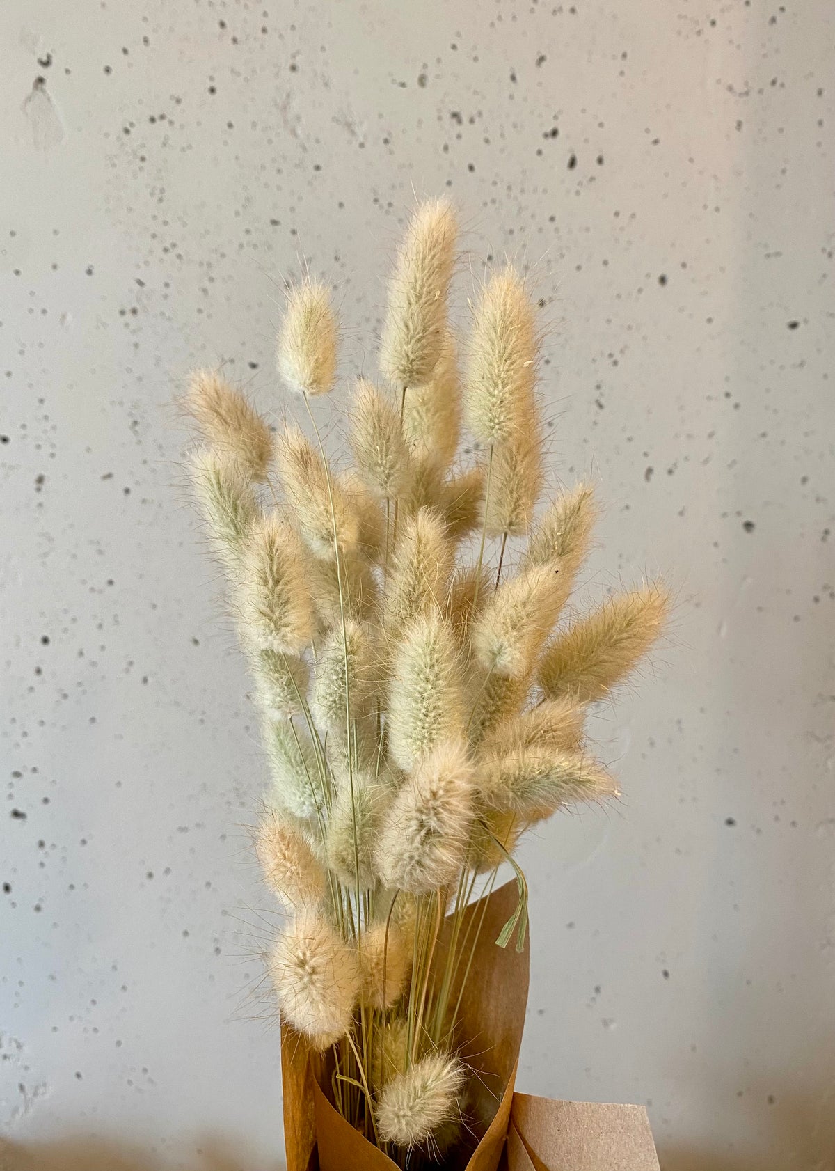 Bunny Tails Dried Bouquet