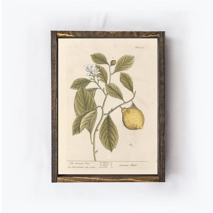 Vintage Style Lemon Tree Art
