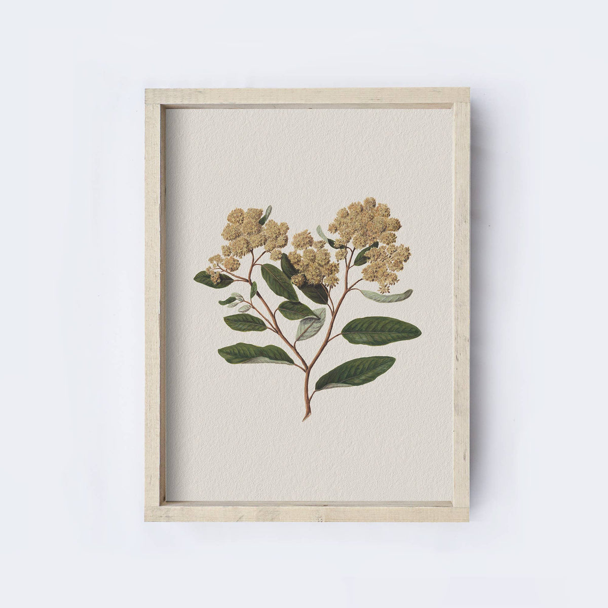 Vintage Style Flower Print