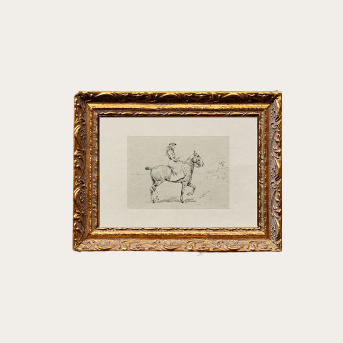 Equestrian Sketch Art
