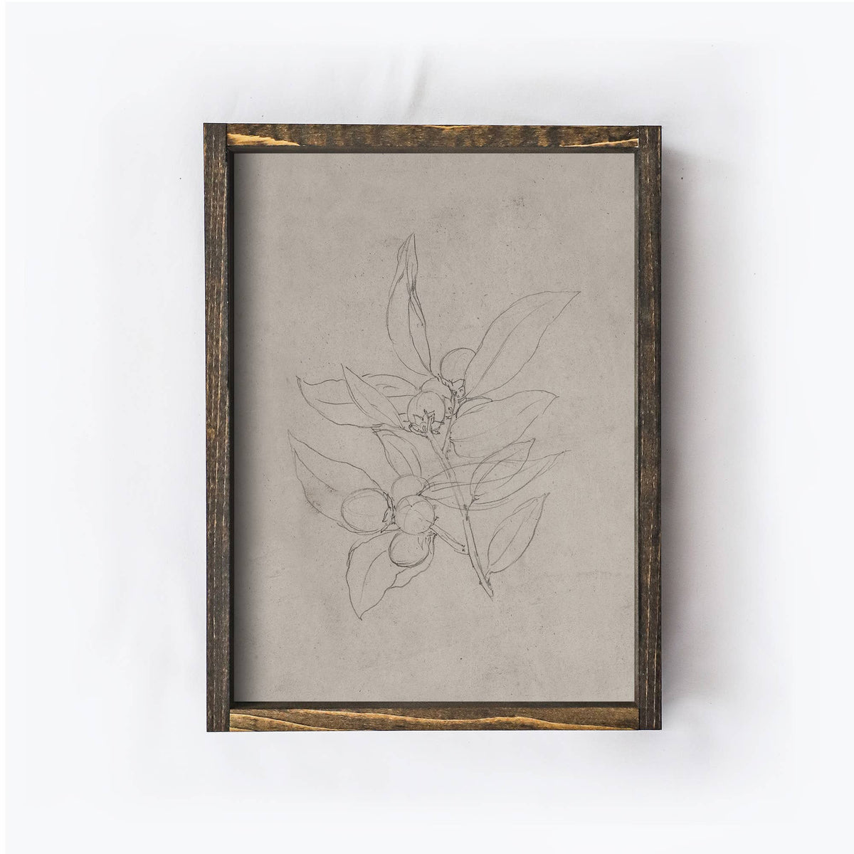 Botanical Flower Sketch Print