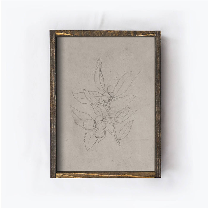 Botanical Flower Sketch Print