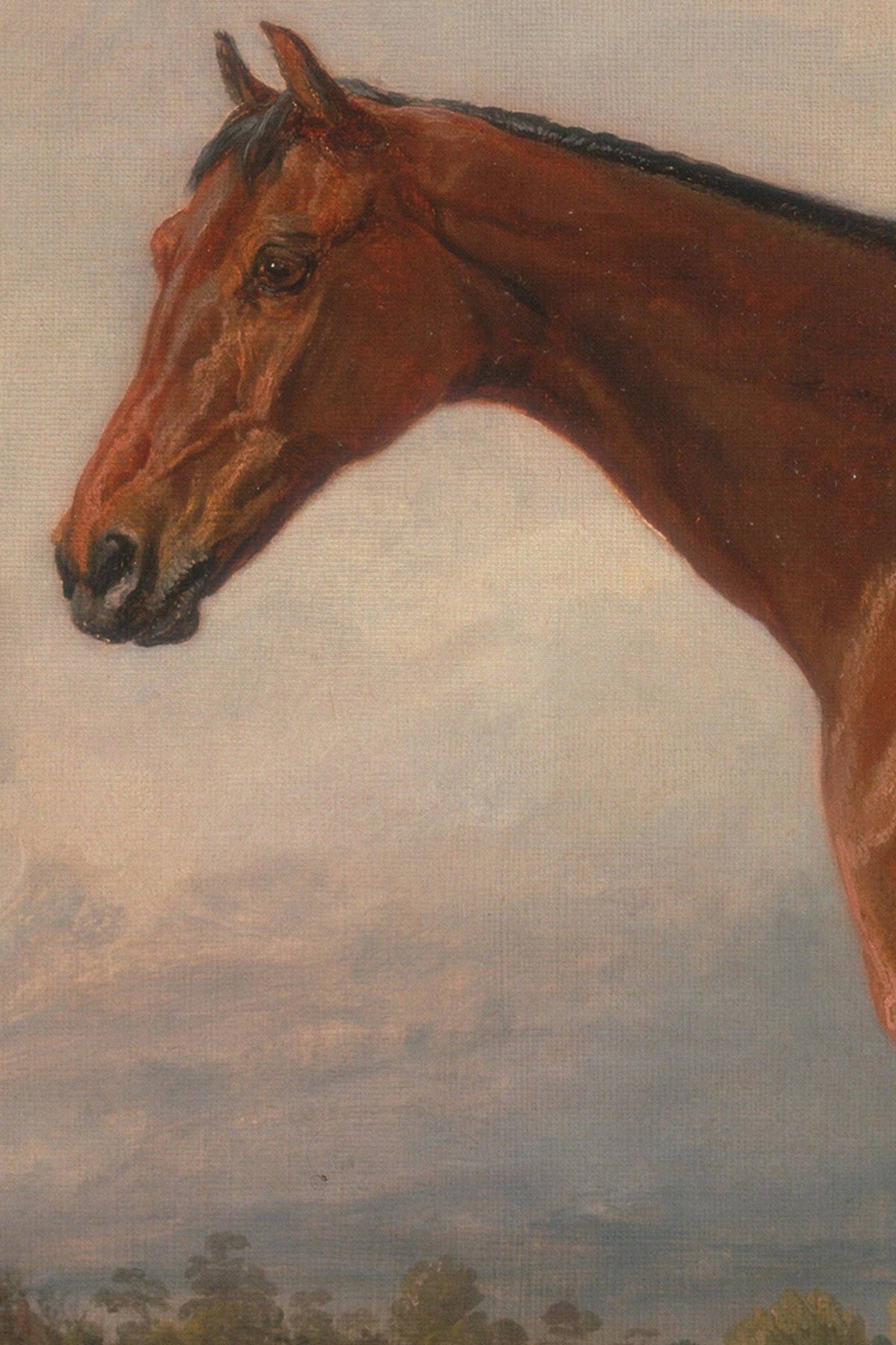 MAJESTÉ ÉQUESTRE: canvas art print