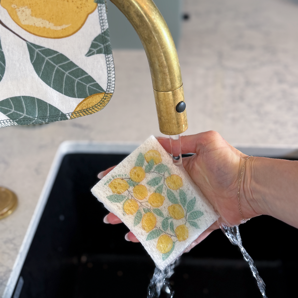 Amalfi Lemons Pop Up Sponges