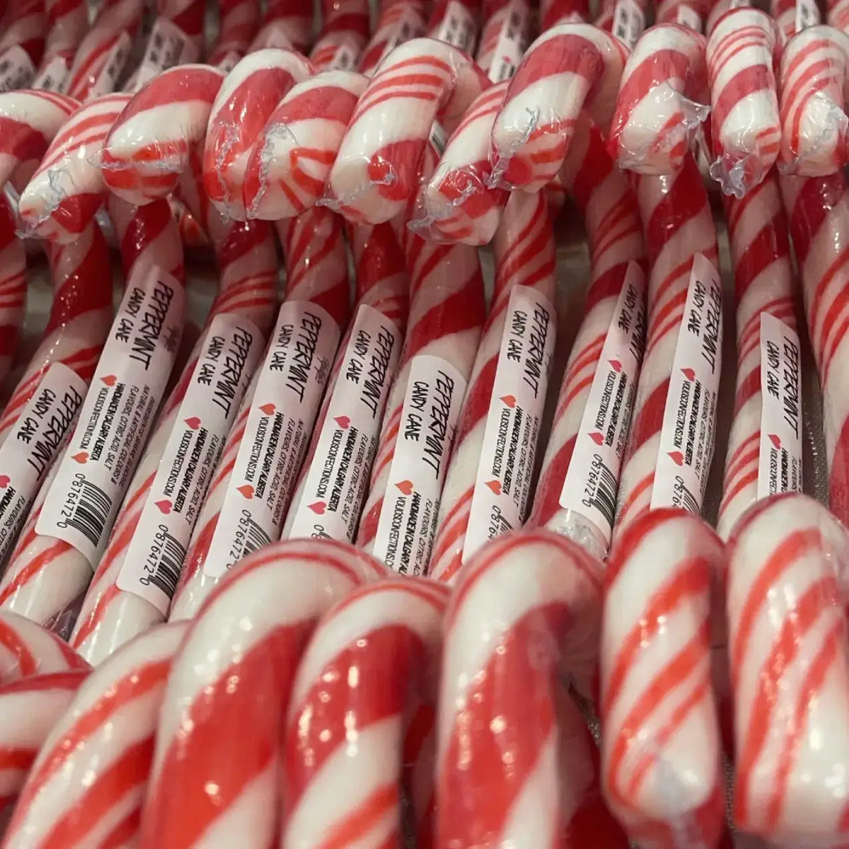 Vanilla Bean Chai Jumbo Handmade Candy Cane
