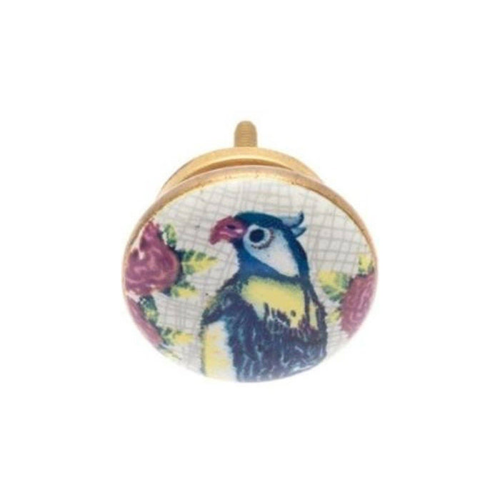 Parrot Ceramic Knob