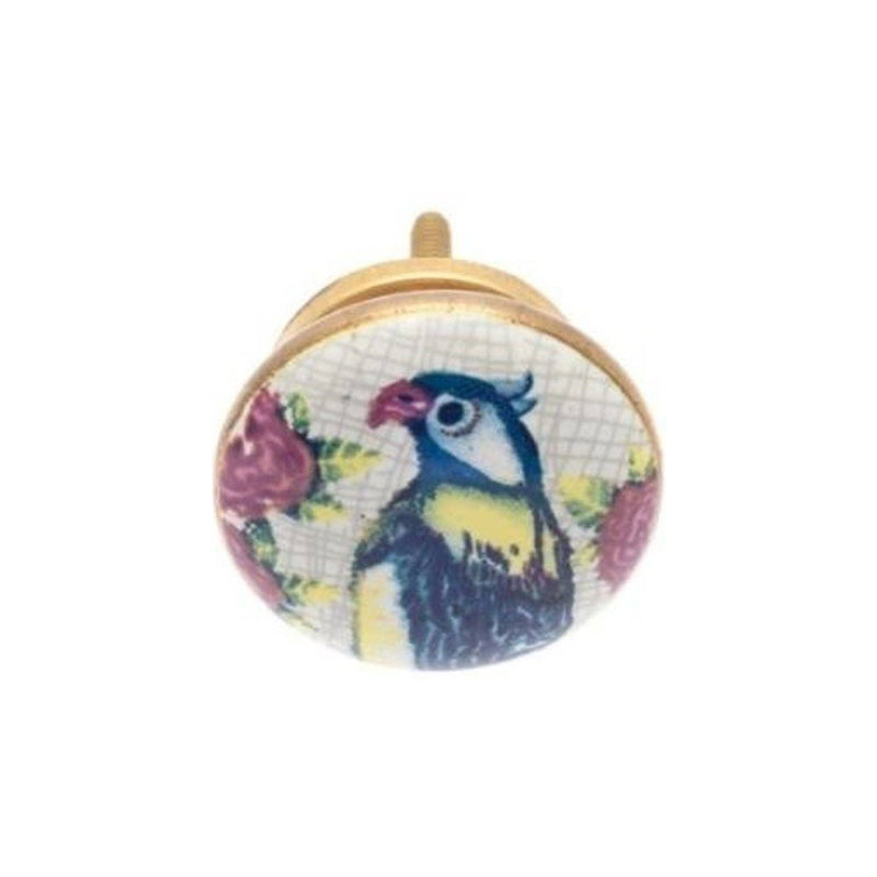 Parrot Ceramic Knob